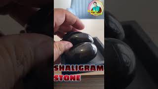 SHALIGRAM STONE DETAILS shorts [upl. by Yorke235]