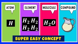 What is the difference between an Atom Element Molecule and Compound [upl. by Willy]