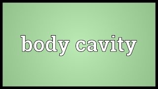 Body cavity Meaning [upl. by Akira]