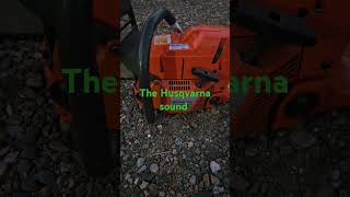 Husqvarna 372xp chainsaw sound [upl. by Ardekal]