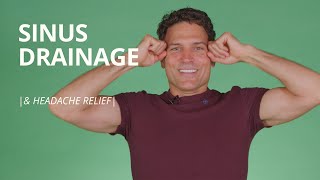 3 Sinus Headache Relief Exercises  Paranasal Sinus Drainage Massage [upl. by Leuams]