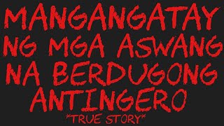 MANGANGATAY NG MGA ASWANG NA BERDUGONG ANTINGERO True Story [upl. by Bosson]