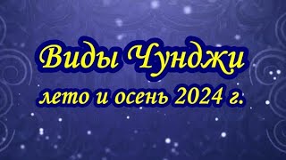 Виды Чунджи Лето и осень 2024 г [upl. by Matilda]