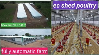 How to build EC shed by Dhummal company  Fully automatic  In proper way  Low cost poultry farm [upl. by Draillih929]