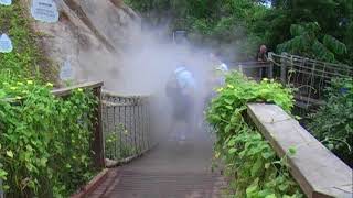 The Eden Project Cornwall England Largest Indoor Rainforest in the World [upl. by Atival]