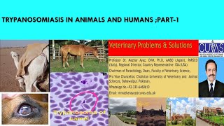 Trypanosomiasis in Cattle Horses Camel and Dogs Causes Symptoms Diagnosis and Treatment [upl. by Wilkins]