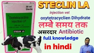 पशुओं में ऑक्सी टेट्रासाइक्लिन एल ए का उपयोग OXYTETRACYCLINE Dihydrate  STECLIN LA [upl. by Jocelyn]