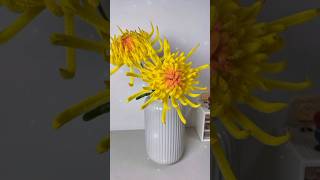 Handmade diy pipe cleaner flowers handmade diy gift diyflower diycrafts flowercraft flowers [upl. by Haidebej670]