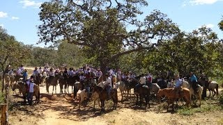 142º Cavalgada  Festa de Agosto  Bonito de Minas  Prox de Januária  Norte de Minas Gerais [upl. by Gadmann]