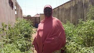 Women Training on Organic Farming and Agroforestry in Sokoto Nigeria [upl. by Klockau]