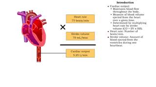 Exercise and cardiac output amp Definition of stroke volume [upl. by Nylrebma668]