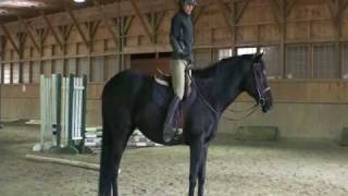 FDT Tips Half Seat Part 1 Jumping HunterJumper Eventing [upl. by Ennovyhs]