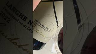 Guidobono Langhe Nebbiolo 2022 귀도보노 랑게 네비올로 2022  루바토 와인 RUBATO WINE [upl. by Anaimad]