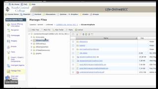 Adding Content to a D2L Course [upl. by Klos154]