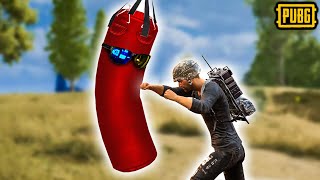 A Comedy of Errors  PUBG [upl. by Inittirb209]