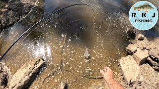 Spinning for 3 Different Species at the Elmore Weir [upl. by Diad]