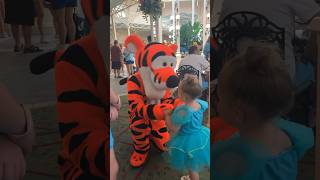 Crystal Palace Magic Kingdom Disney World 2024 Meeting Tiger [upl. by Jacobba]