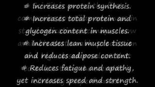 SciFit EcdySterone 300 [upl. by Chari420]