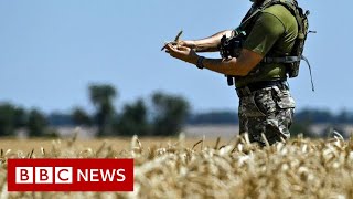 Why does the world need grain to be shipped from Ukraine  BBC News [upl. by Ermengarde]