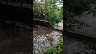 Hochwasser  Wasserburg am Inn [upl. by Gut]