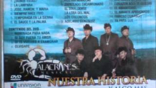 alacranes musical adelaido gonzalezwmv [upl. by Hirza560]