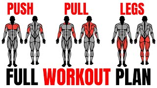 The Smartest Push Pull Legs Routine Fully Explained💪 [upl. by Holihs]