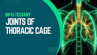 Joints of thoracic cage  Anatomy  RES [upl. by Nylanaj850]