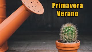 Fertilización de cactus y suculentas [upl. by Brinkema]