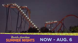 Party Louder and Play Later at Summer Nights  Busch Gardens Tampa Bay [upl. by Gloriane392]