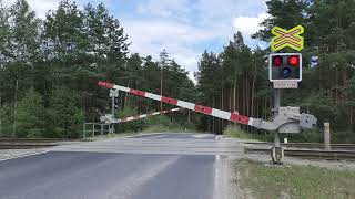 Železniční přejezd Srní u České Lípy CZ  372024  Railroad crossing [upl. by Wildon]