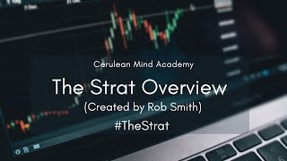 The Strat Overview  thestrat [upl. by Norod]