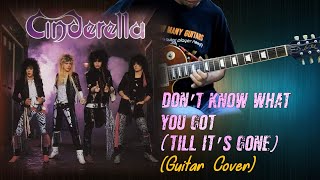 Cinderella  Dont Know What You Got Till Its Gone  Cover  Lyric [upl. by Name218]