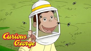 George the Beekeeper 🐵 Curious George 🐵 Kids Cartoon 🐵 Kids Movies [upl. by Collis]