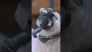 Shaun the Sheep x Barbour 2024  Live Action shaunthesheep behindthescene barbourchristmas [upl. by Joela]