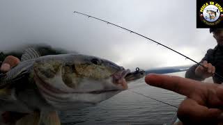 Pesca en Aysén No pages de más probando señuelos de vinilos muy efectivo y económico [upl. by Ammej]