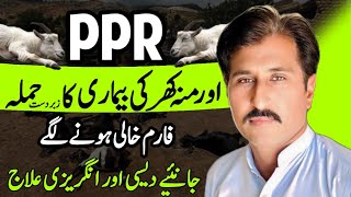 Treatment and care of PPR Dhool Goat Farm [upl. by Garrick186]