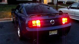 2008 Mustang GTCS  Sequential Tail Lights by Stack Racing [upl. by Bertila877]