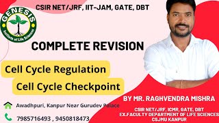 Cell Cycle Regulation  Cell Cycle Checkpoint genesisinstitute csirnet csir lifescience [upl. by Ekusuy148]