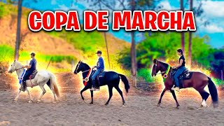 COPA de MARCHA no HARAS do PEPÊ [upl. by Ahsikram]