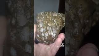 Kimberlite diamond bearing rock gold mining in alaska on beach fypシ゚viral [upl. by Hanako202]