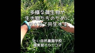 「多様な微生物や生き物たちのために草を育て共生する」むい自然農園学校 畑実習のひとコマ [upl. by Enohpesrep]