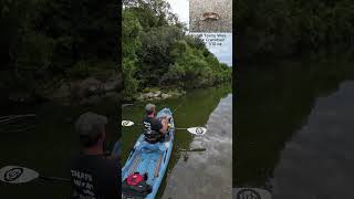 Smallmouth Bass on Crooked Creek  Kayak Fishing  Bonafide RVR 119  Nature [upl. by Culberson]