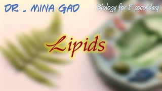 Lipids  Biology for 1st secondary [upl. by Shela]