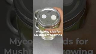 How to Make Myco Jar Lids for Mushroom Growing mushroomfarming mushroomgrowing [upl. by Ennailuj]