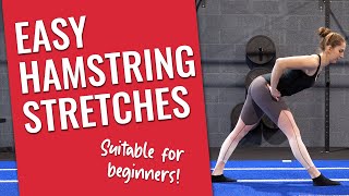 Geriatric Hamstring Stretches [upl. by Zindman659]