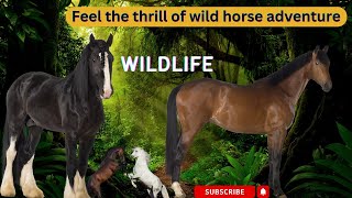 Feel the thrill of wild horse adventure WILD Horses [upl. by Malita]