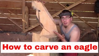 How to chainsaw carve a basic eagle [upl. by Shelagh258]