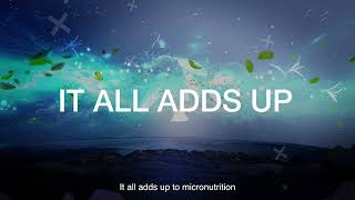 Micronutrition amp Health Solutions It All Adds Up [upl. by Ecnerual]