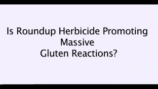 Gluten and GMOs Jeffrey Smith interviews Dr Stephanie Seneff [upl. by Placido149]