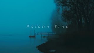 Grouper Poison Tree Slowed and Reverb [upl. by Jarin]